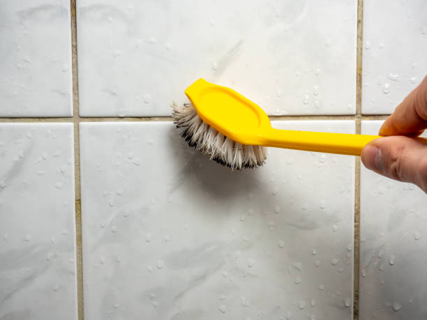 Best Mold Remediation  in Richmond, CA