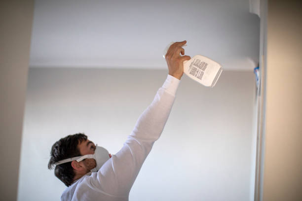 Trusted Richmond, CA Mold Removal Experts