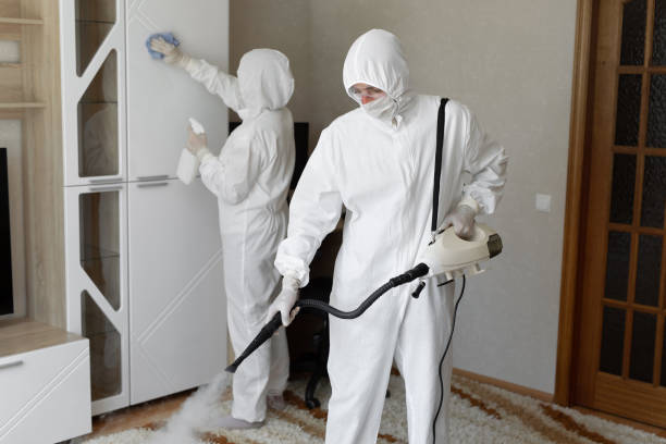 Best Same-Day Mold Removal  in Richmond, CA