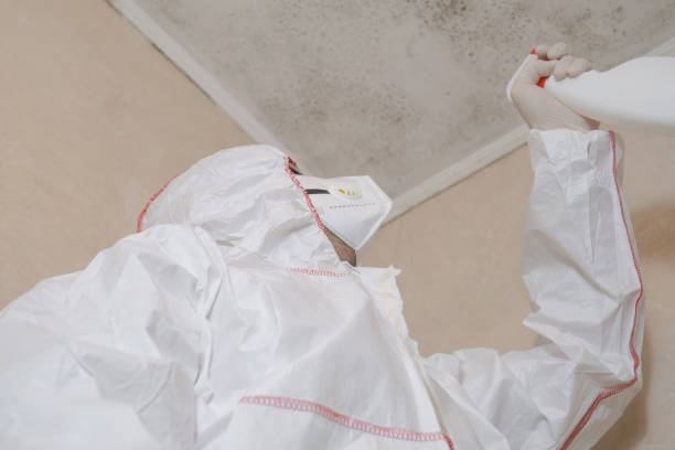 Best Local Mold Removal Service  in Richmond, CA