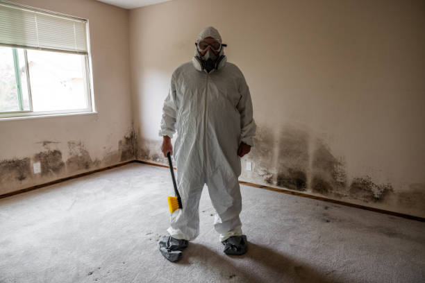 Mold Removal and Inspection in Richmond, CA