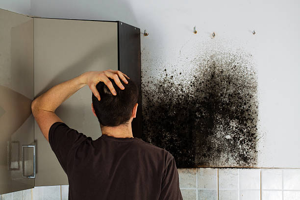 Best Office Mold Removal Services  in Richmond, CA